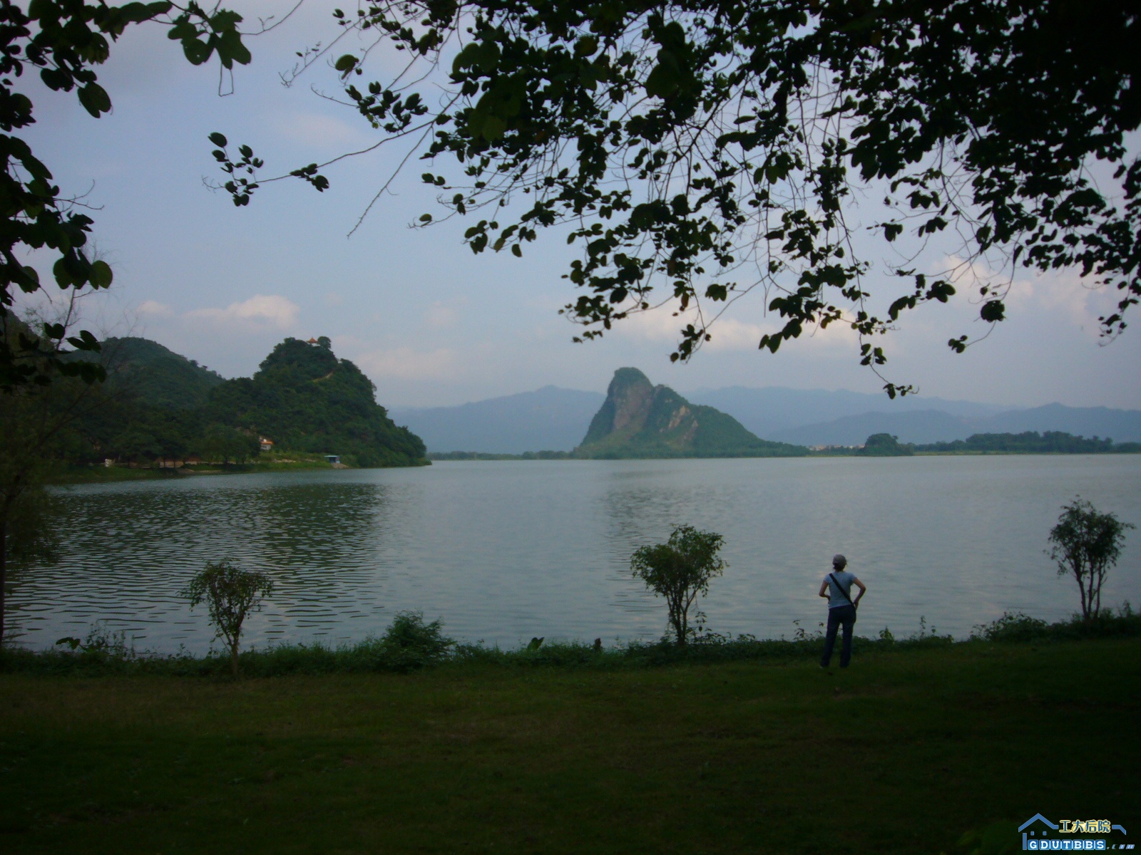 P1040839.JPG