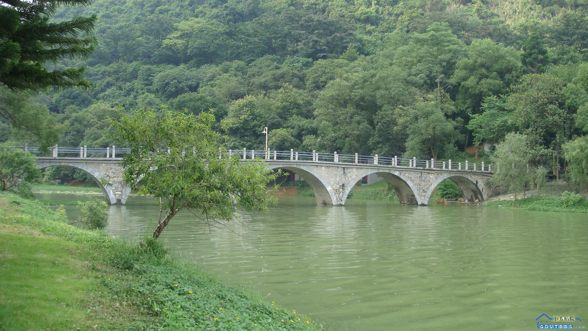 DSC01070.JPG