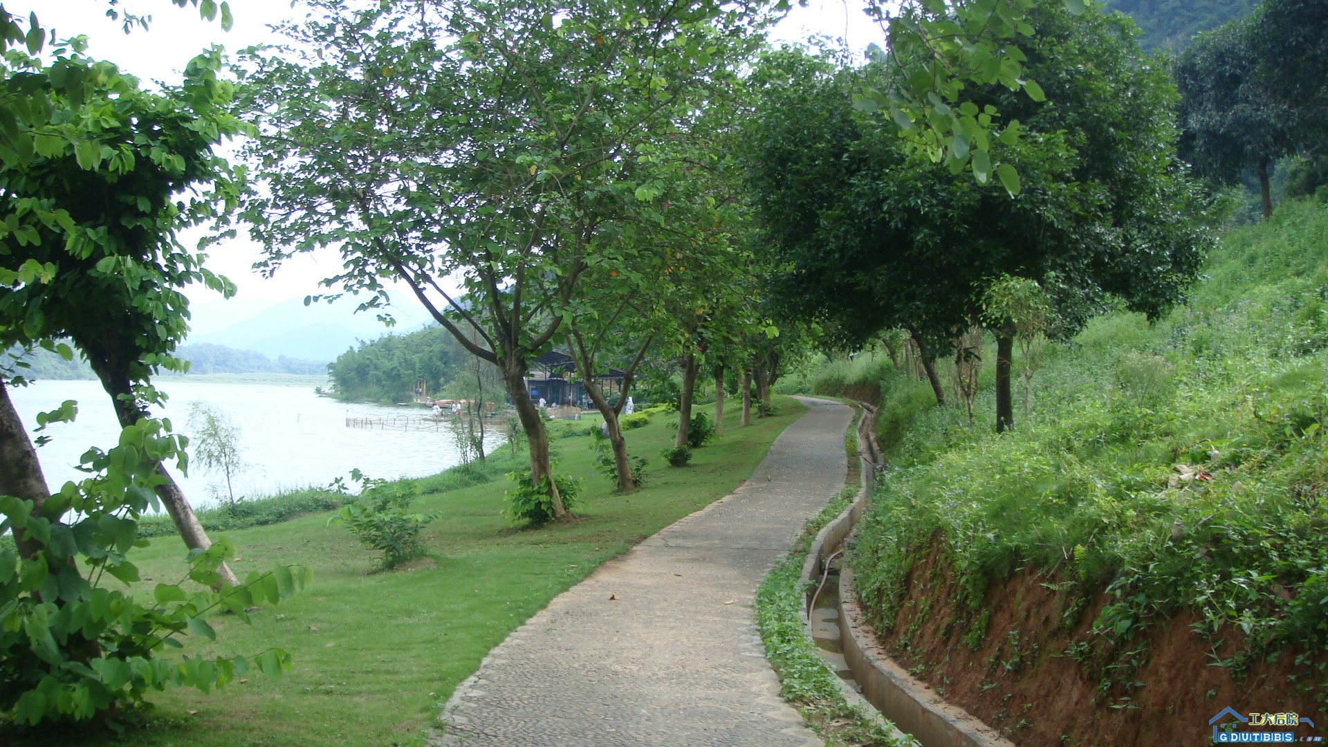 DSC01050.JPG