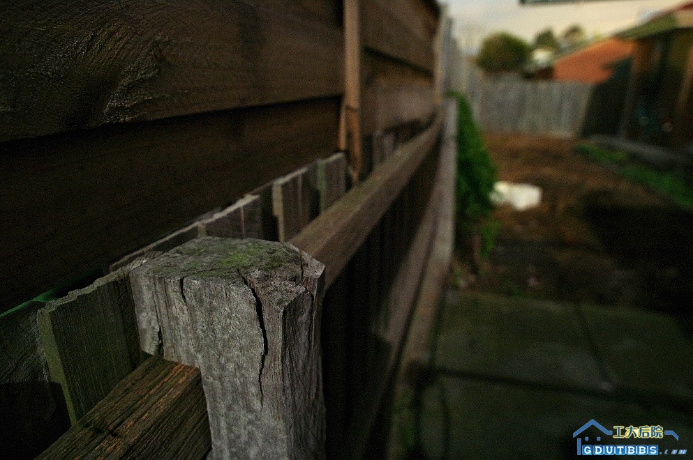 IMGP1384_th.jpg