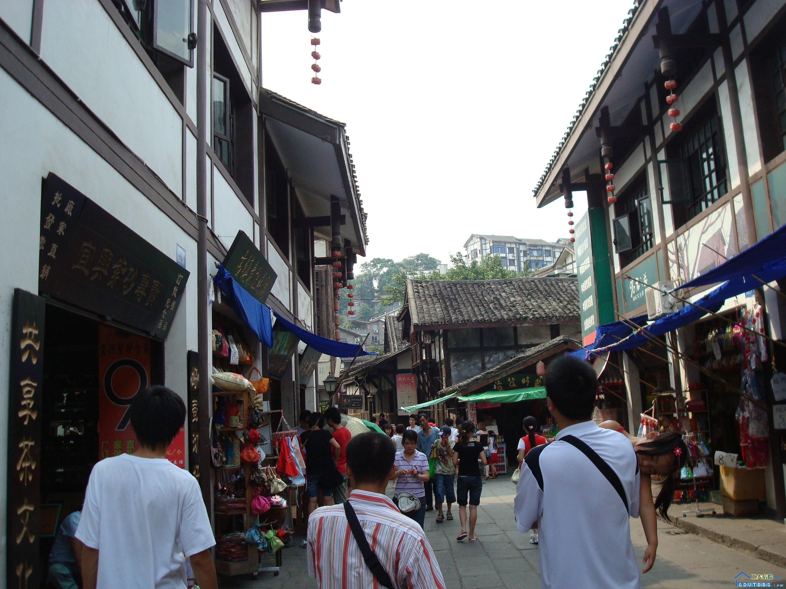 DSC02248.JPG