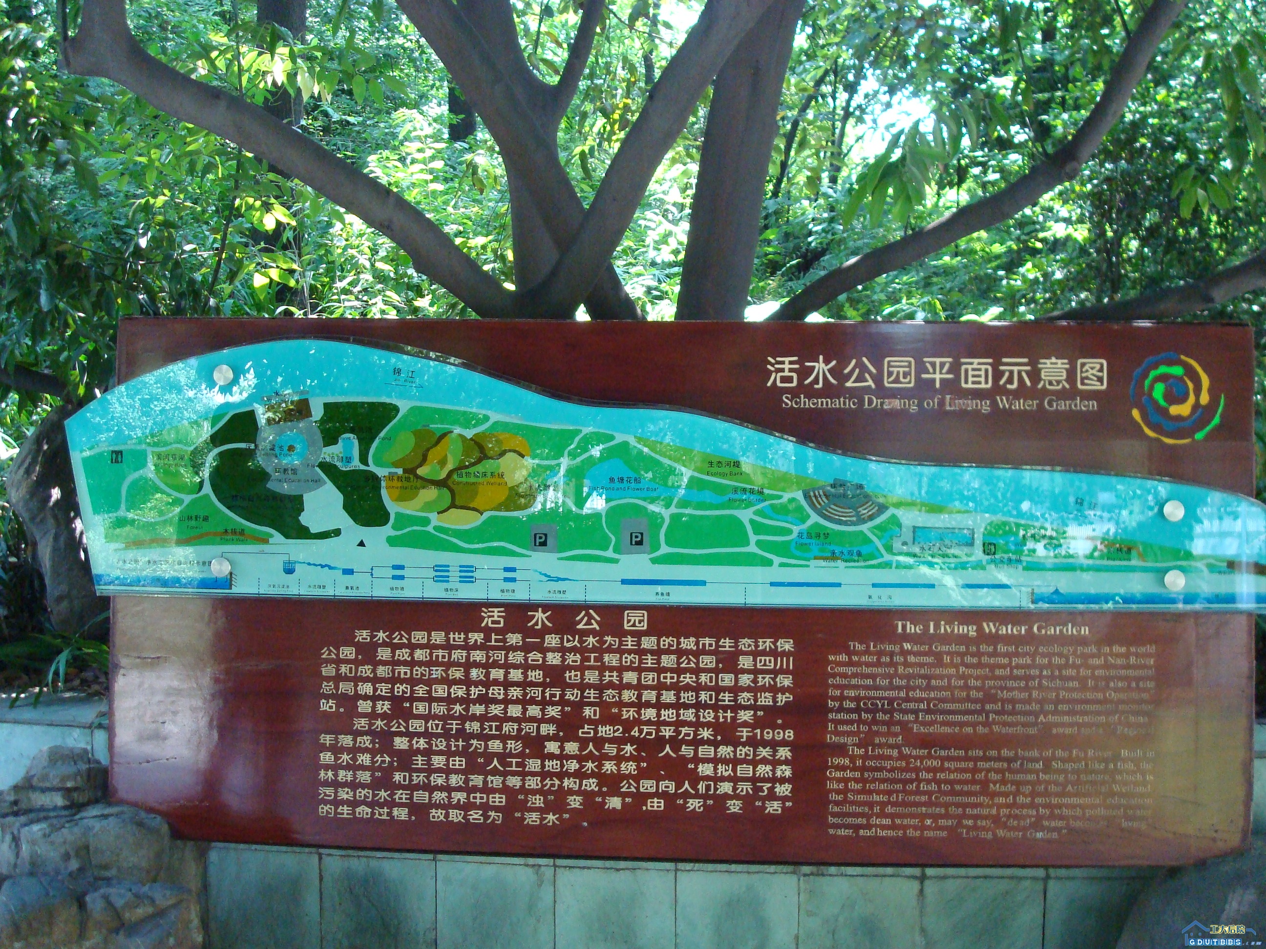DSC02388.JPG