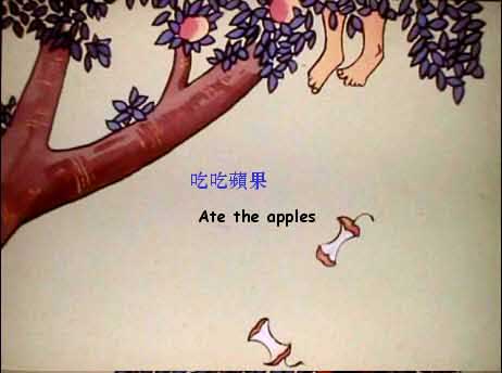 3155502.jpg