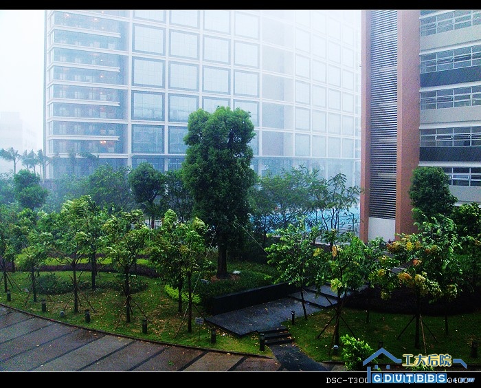 DSC00203.jpg