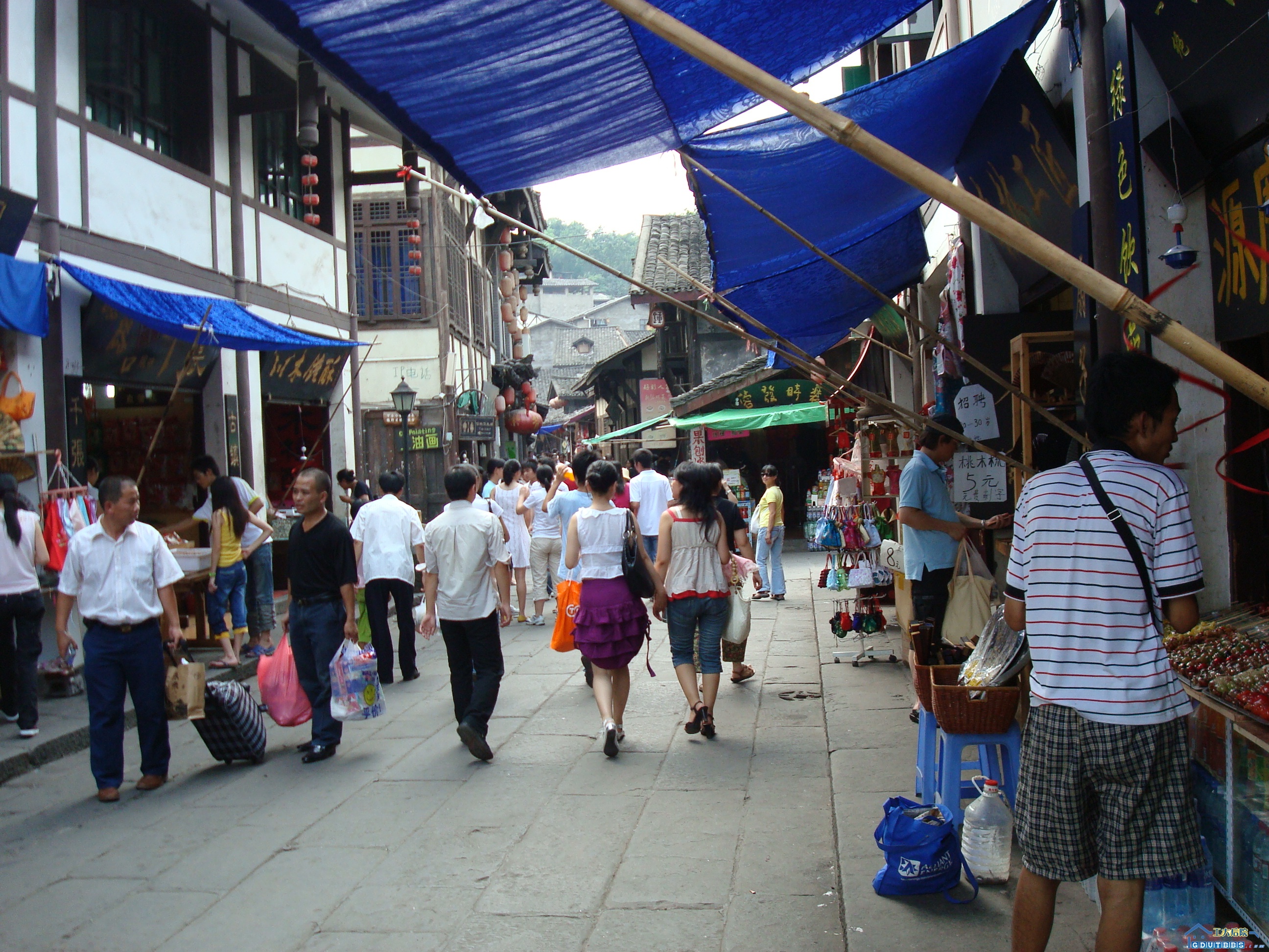 DSC02250.JPG