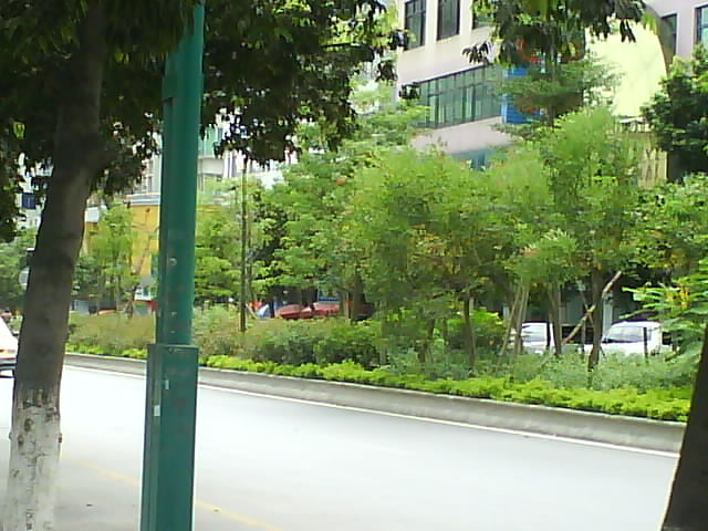 DSC04241.JPG