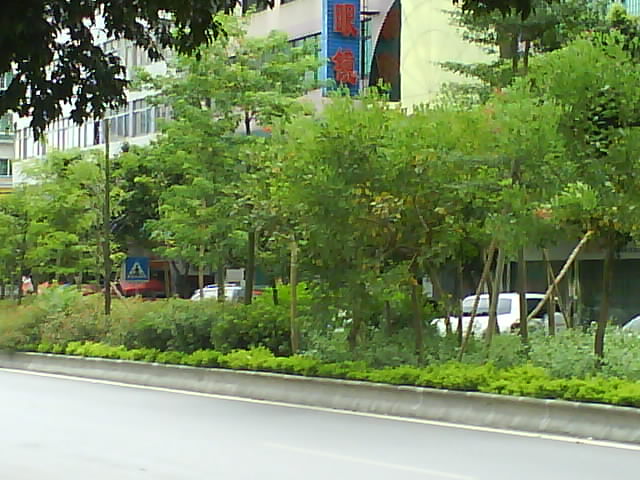 DSC04242.JPG