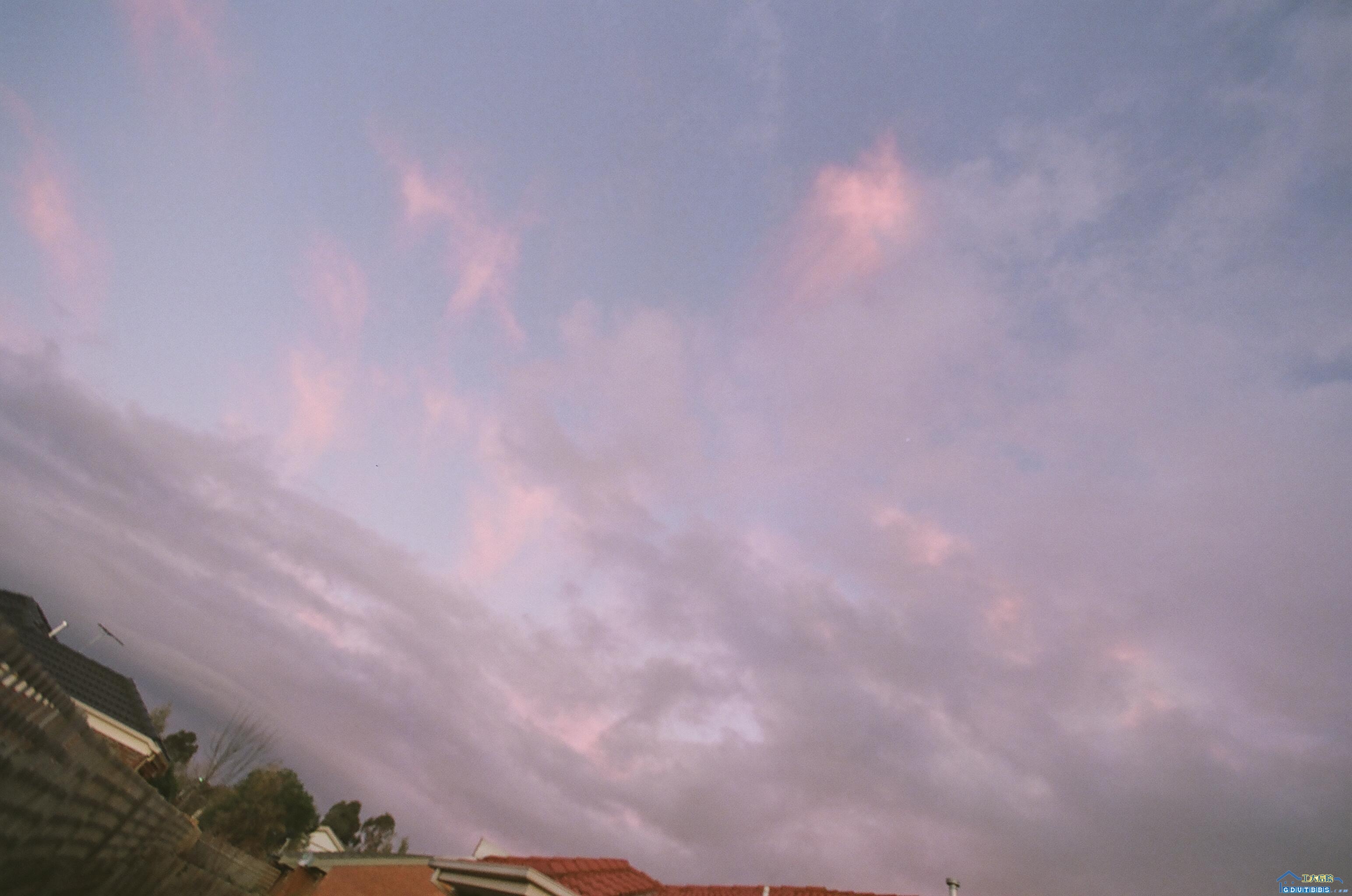 013_12A.JPG