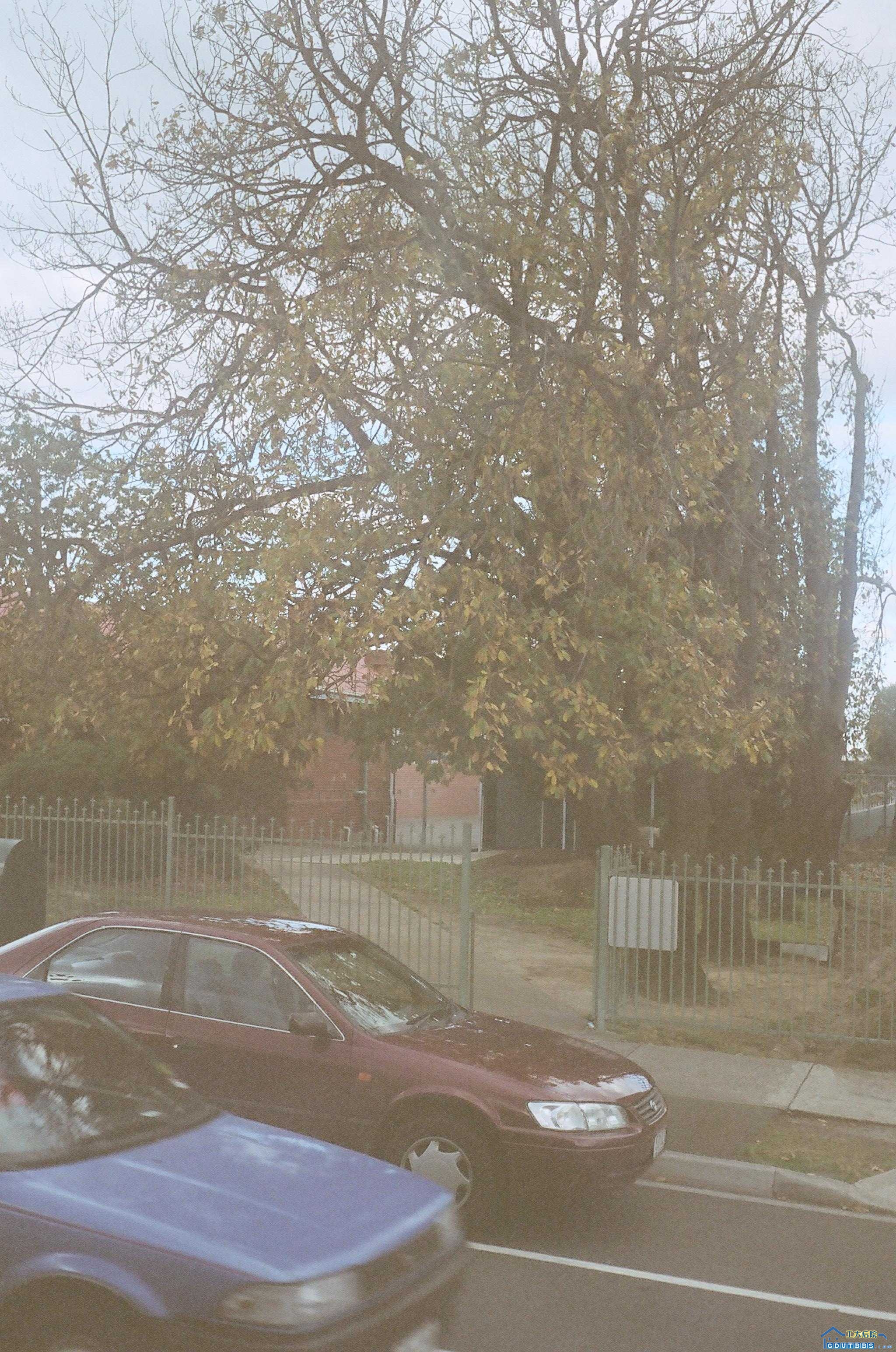 016_15A.JPG