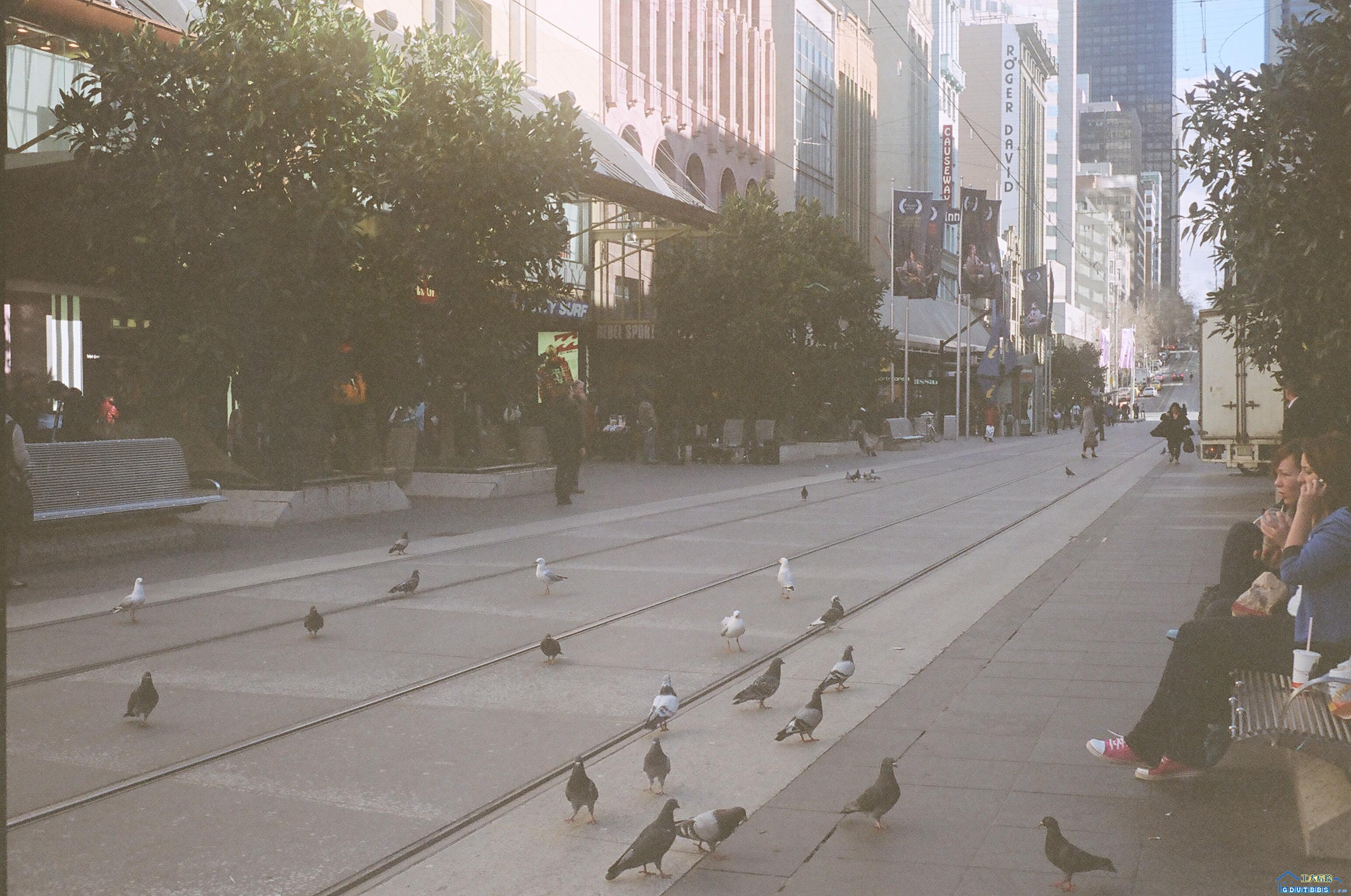 009_8A.JPG