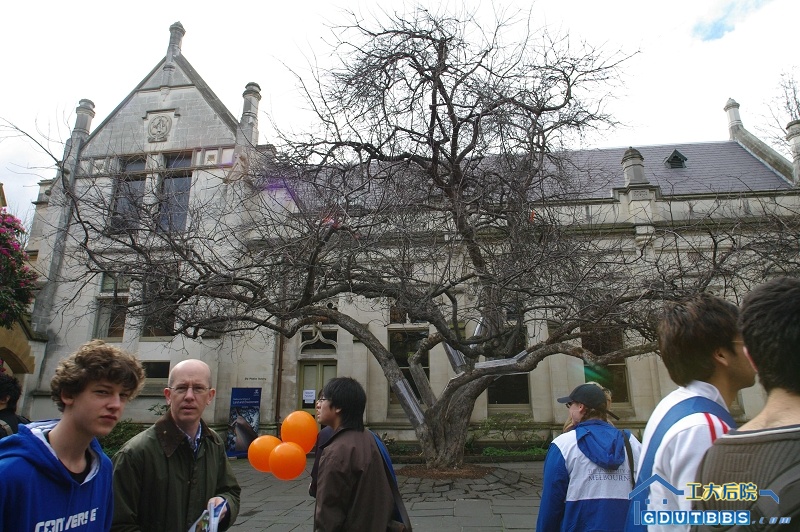 IMGP2943.jpg