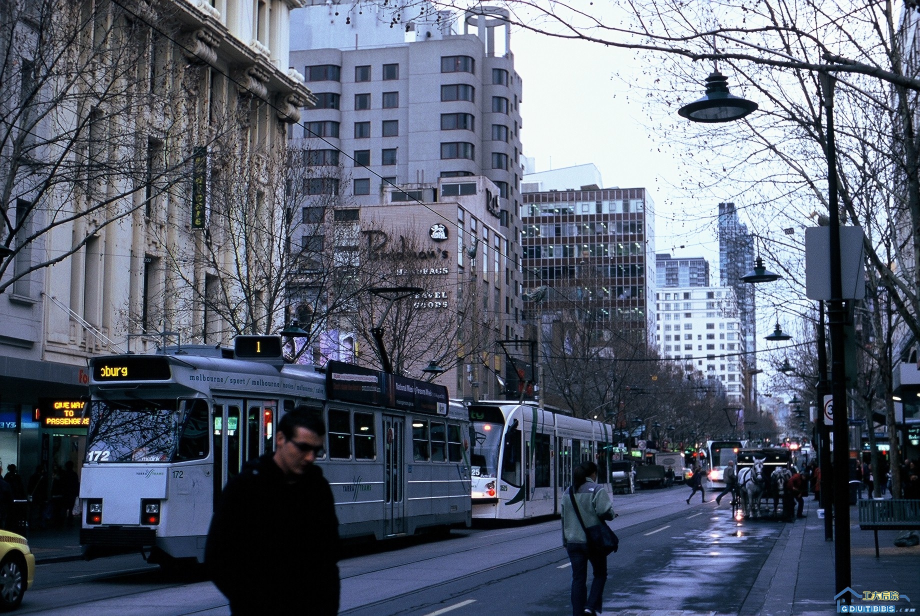 F1000031.JPG