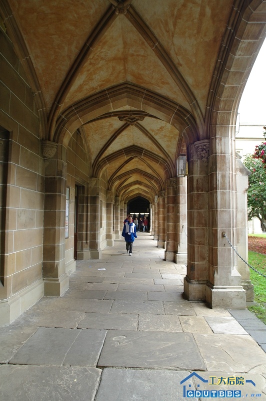 IMGP2936.jpg