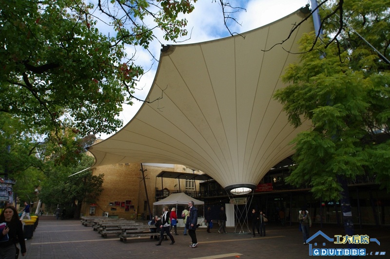 IMGP2963.jpg