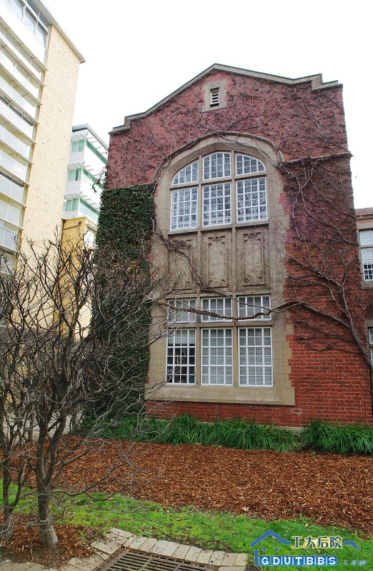IMGP2948.jpg