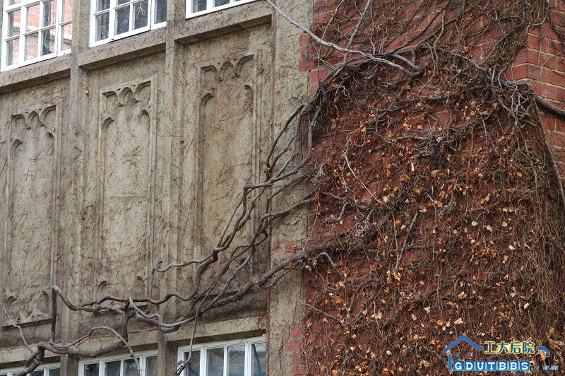 IMGP2888.jpg