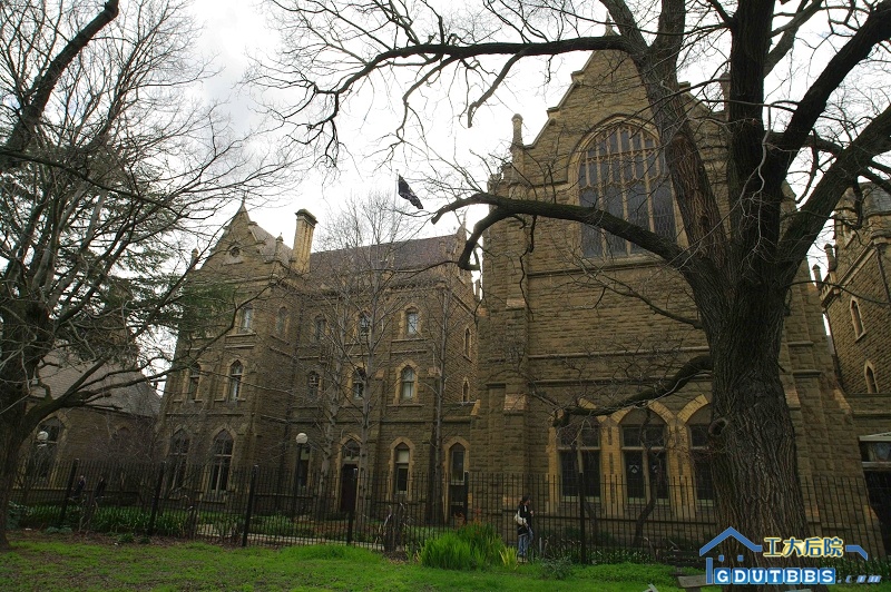 IMGP2975.jpg