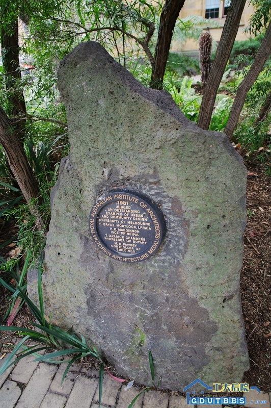 IMGP3121.jpg