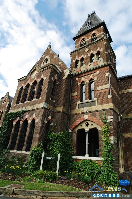 IMGP3019.jpg
