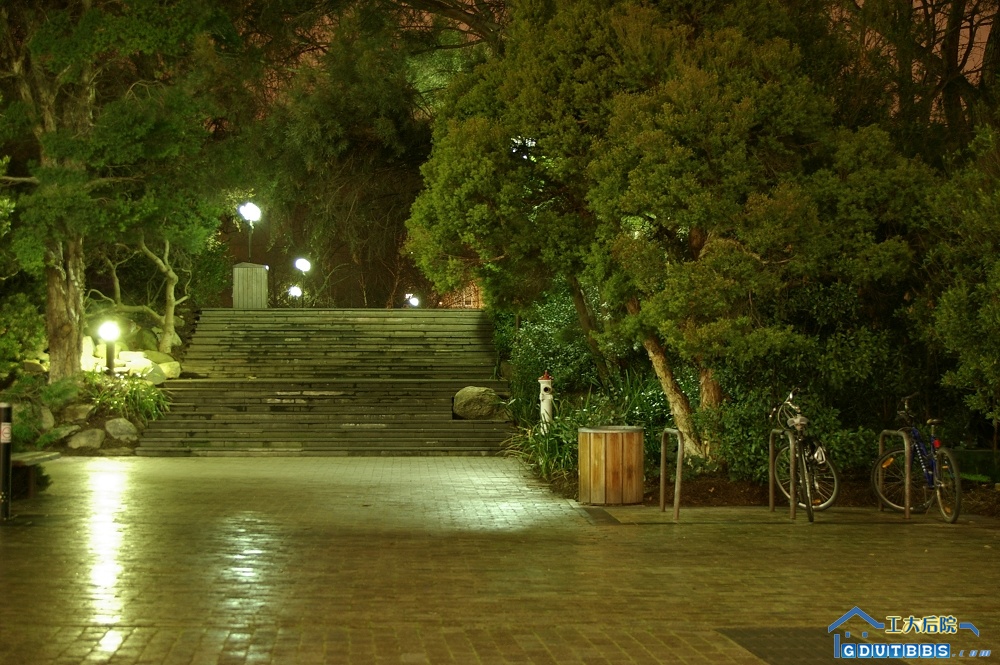 IMGP4800.jpg