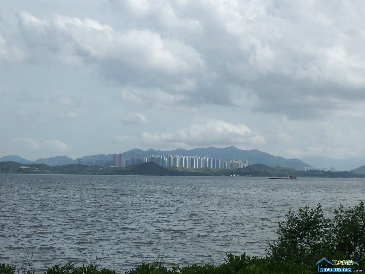 100_5164.jpg