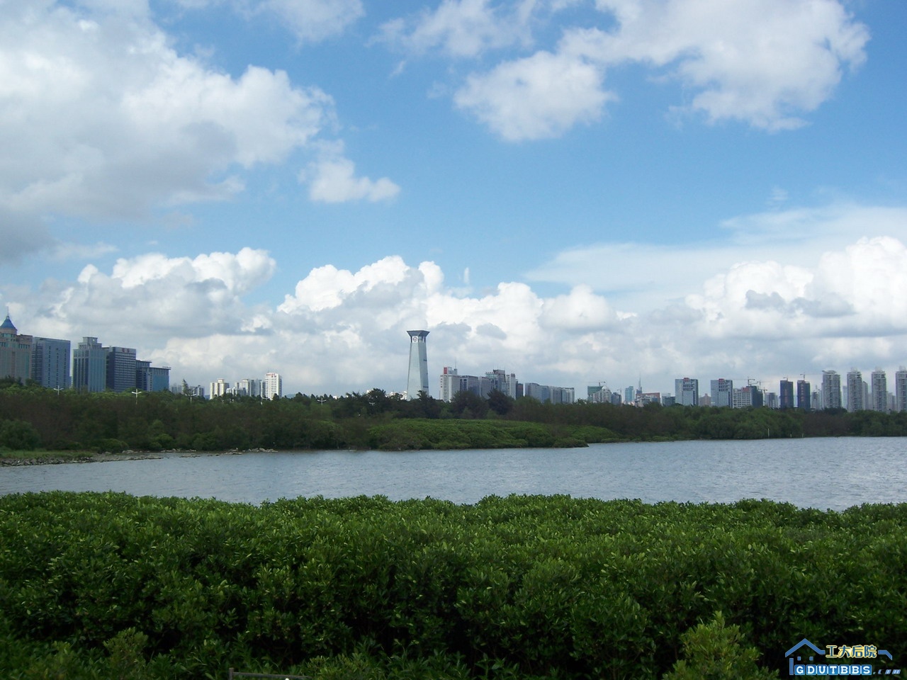 100_5158.jpg