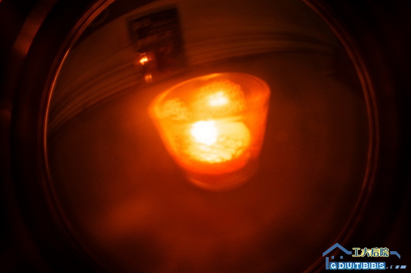 21240008_调整大小.jpg