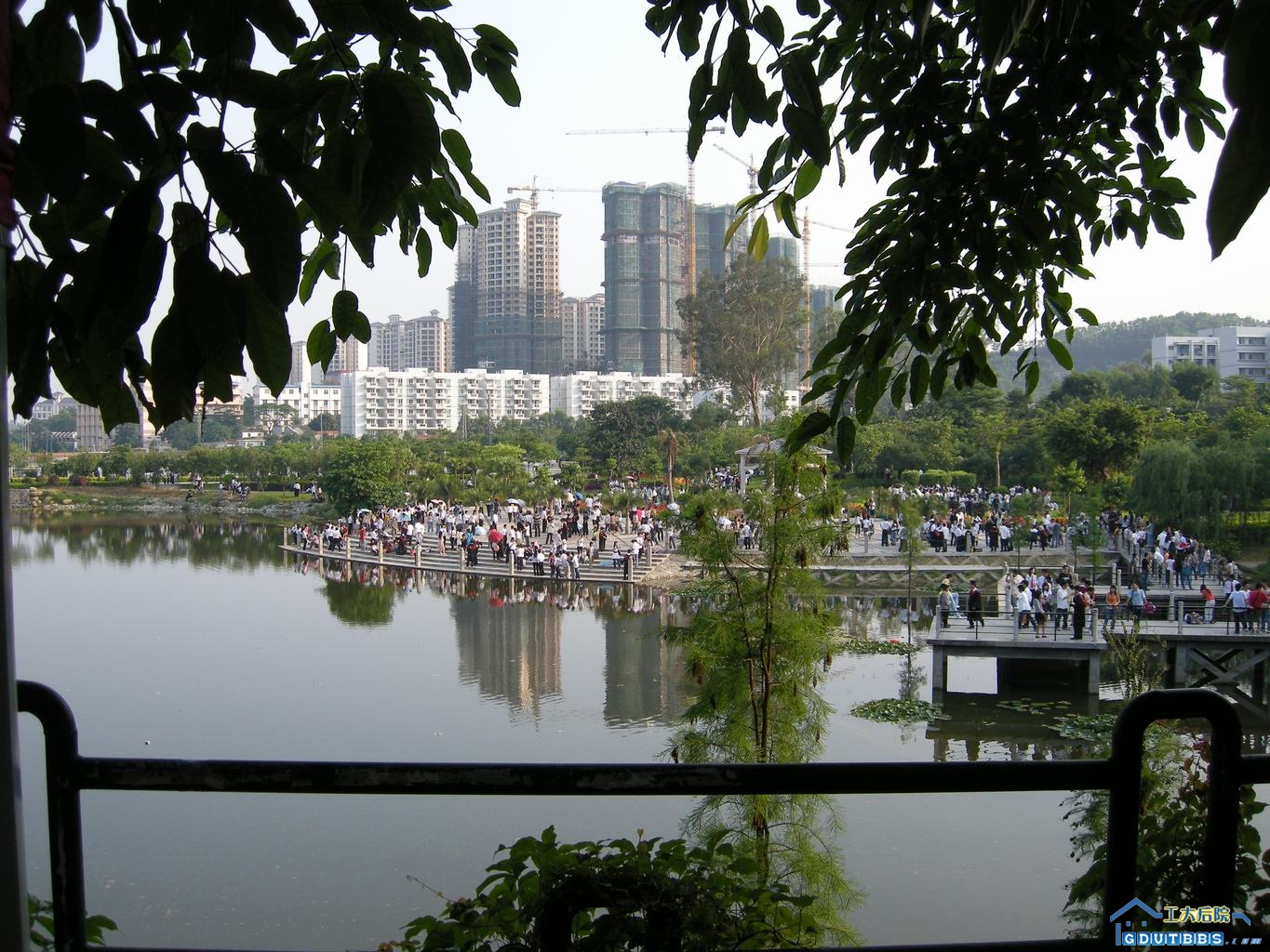 人工湖旁.JPG