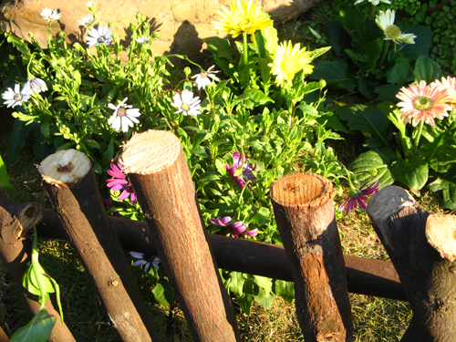 喜欢栅栏边的感觉