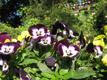 奶奶说像蝴蝶～