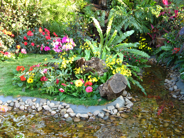 鲜花、流水、小鱼