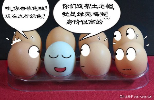 搞笑鸡蛋5.jpg