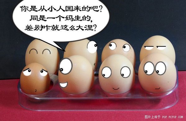 搞笑鸡蛋4.jpg