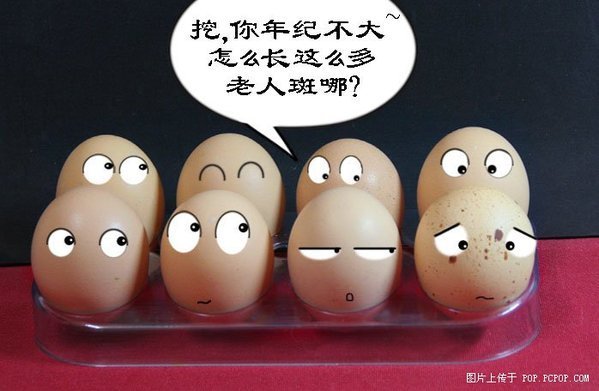 搞笑鸡蛋.jpg