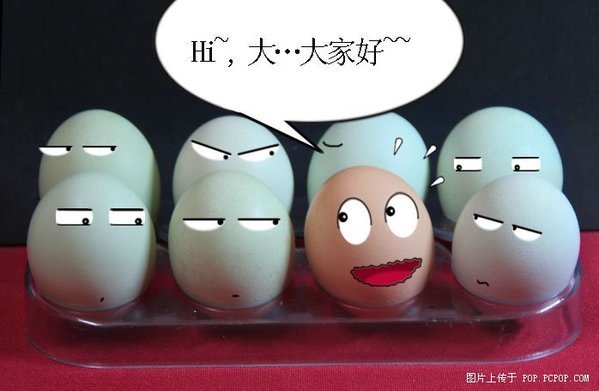 搞笑鸡蛋7.jpg