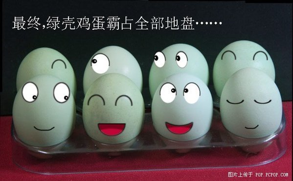 搞笑鸡蛋8.jpg