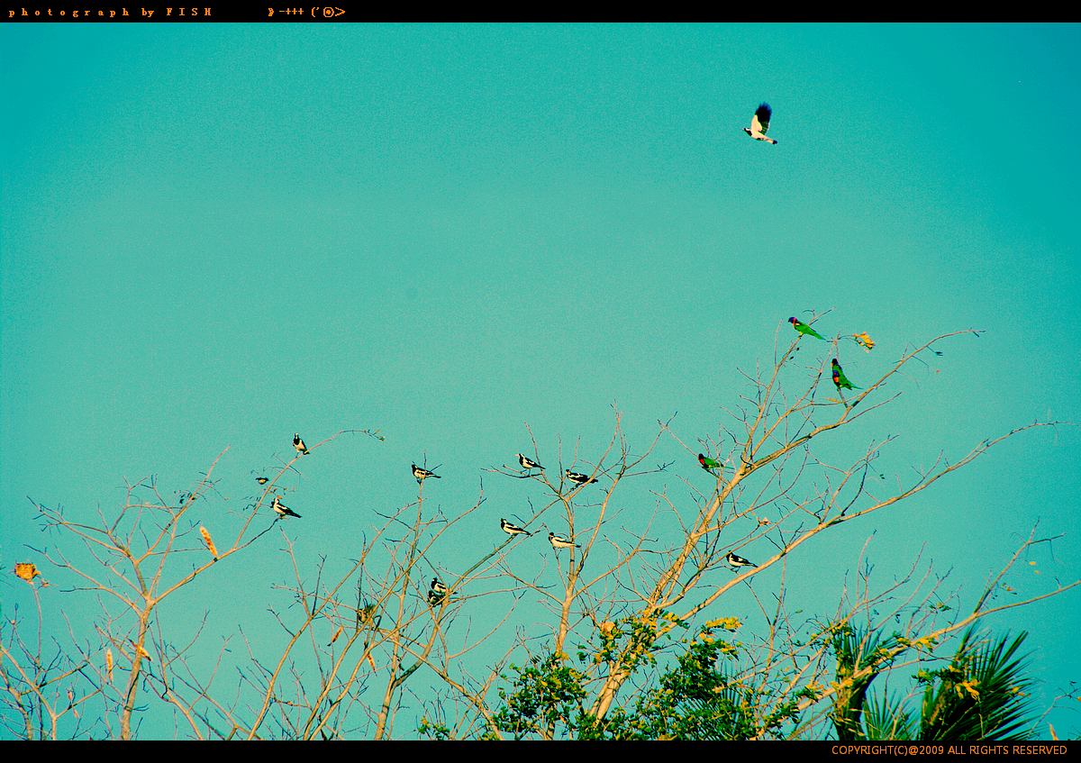 Mindil Beach, Darwin, NT, AU