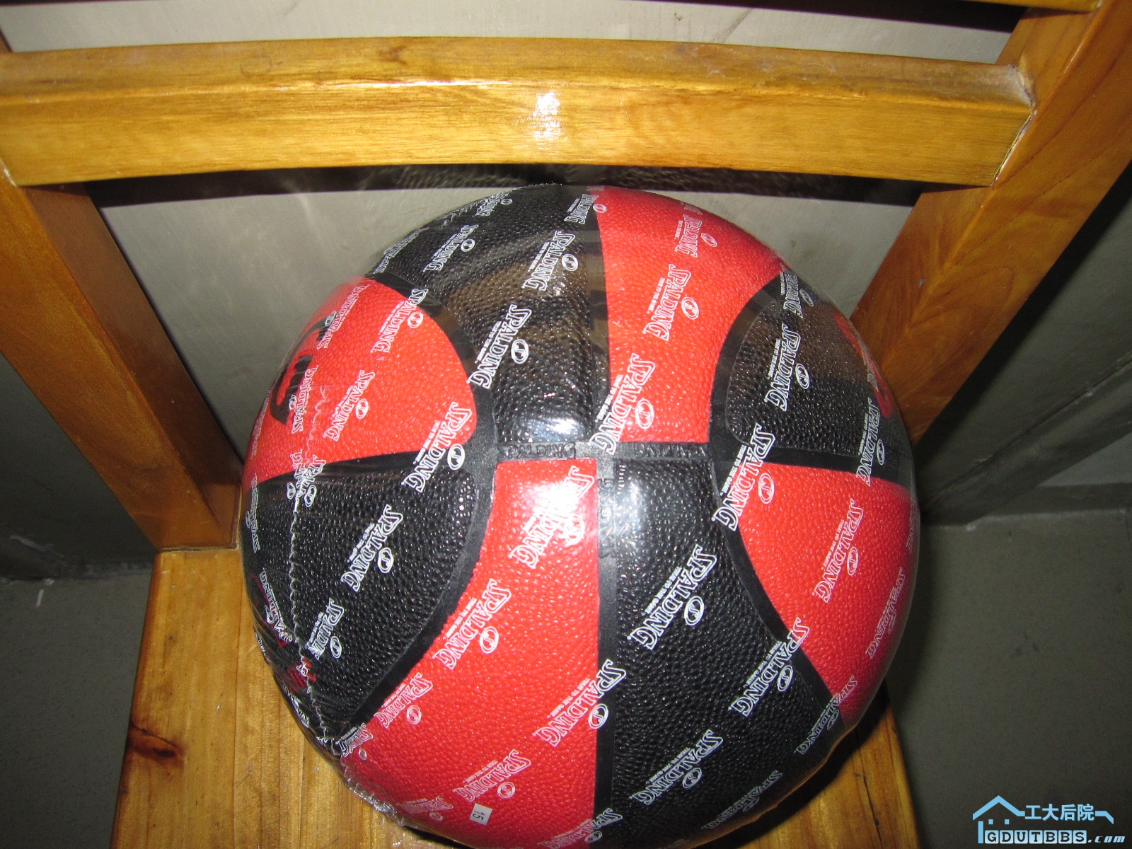 红黑斯伯丁 95元