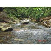 中国砚都-旅游核心区紫云谷雨林品氧 溯溪探秘一天.jpg